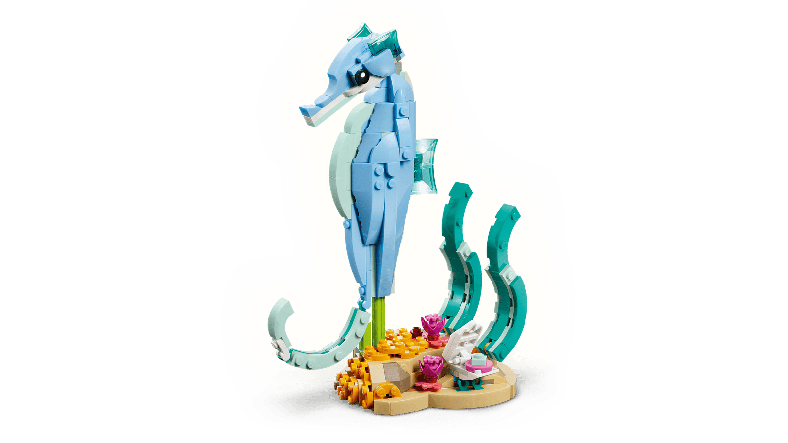 Sea Animals: Seahorse
